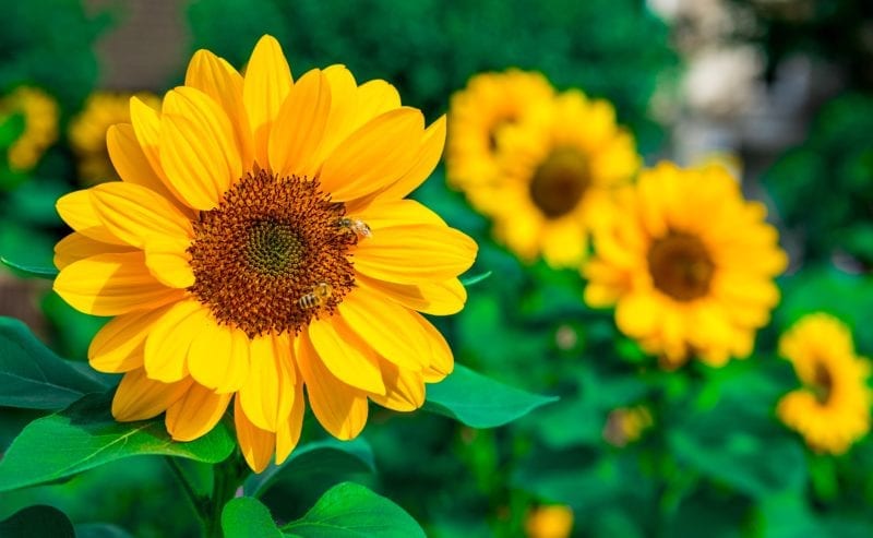 kevin-grieve-756821-unsplash